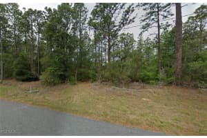 7578 Galena Avenue, Citrus Springs, FL 34434 Sold 10/01/25