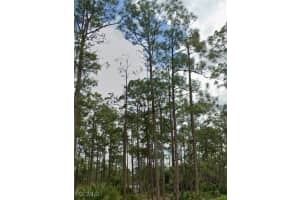 1442 Lincoln Avenue, Lehigh Acres, FL 33972 - MLS#2025007650