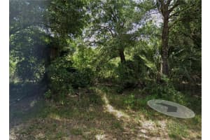 1317 Canton Avenue, Lehigh Acres, FL 33972 - MLS#2025007730