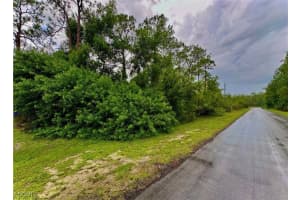 303 Johanna Avenue, Lehigh Acres, FL 33972 - MLS#2025007835