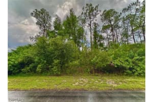 303 Johanna Avenue, Lehigh Acres, FL 33972 - MLS#2025007835