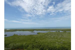 1001 Arbor Lake Drive, Naples, FL 34110 - MLS#2025008162