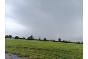 4 Yellow Elder Way, Placida, FL 33946 - MLS#2025008337