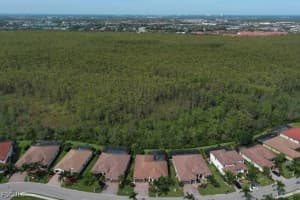 10986 Longwing Drive, Fort Myers, FL 33912 - MLS#2025008439