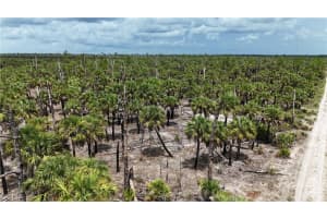 , Naples, FL 34117 Sold 01/22/26