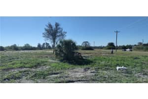 769 Joponica Avenue, Lehigh Acres, FL 33974 - MLS#2025009364