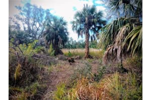 27433/27437 Neaptide Drive, Punta Gorda, FL 33983 - MLS#2025009376