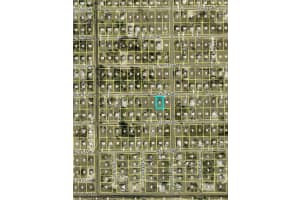 2703 44th Street, Lehigh Acres, FL 33976 - MLS#2025009529