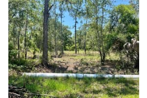 13086 Mandalay Drive, Punta Gorda, FL 33955 - MLS#2025010049