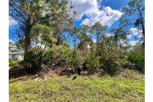 12334 Hindle Avenue, Punta Gorda, FL 33955 - MLS#2025010801