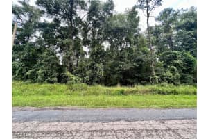 303 W ERIDANI Court, Citrus Springs, FL 34494 - MLS#2025011507