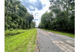 303 W ERIDANI Court, Citrus Springs, FL 34494 - MLS#2025011507