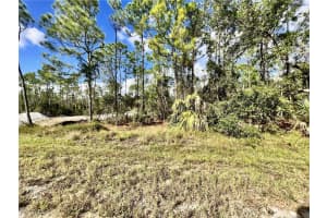 27076 Badger Drive, Punta Gorda, FL 33955 - MLS#2025011515