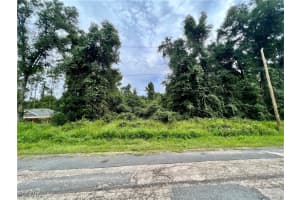  325 Eridani CT, Citrus Springs, FL 33434 - MLS#2025011723