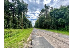  325 Eridani CT, Citrus Springs, FL 33434 - MLS#2025011723