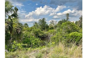 27430 San Marco Drive, Punta Gorda, FL 33983 - MLS#2025011848