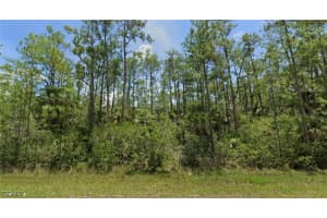 186 Greenbriar Boulevard, Lehigh Acres, FL 33972 - MLS#2025012388