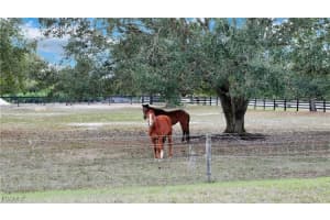 11751 Shawnee Road, Fort Myers, FL 33913 - MLS#2025013082