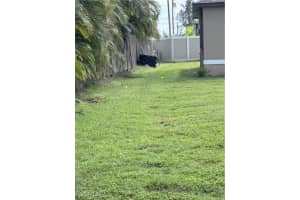 2000 3rd Street, Cape Coral, FL 33991 - MLS#2025013520