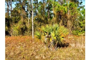LOT 24 Marlborough Avenue, North Port, FL 34288 - MLS#2025014039
