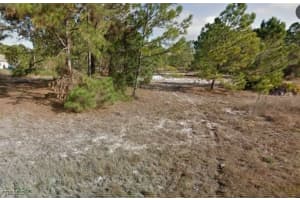 853 Carpenter Street, Lehigh Acres, FL 33974 - MLS#2025014826