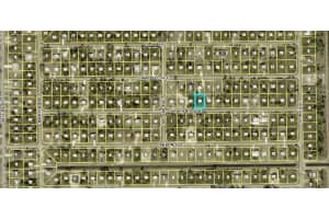 853 Carpenter Street, Lehigh Acres, FL 33974 - MLS#2025014826