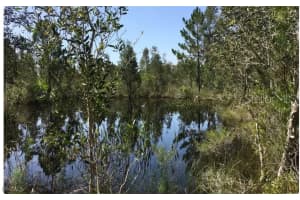 50284 Bermont Road, Punta Gorda, FL 33982 Sold 10/31/25