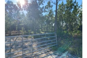 50284 Bermont Road, Punta Gorda, FL 33982 Sold 10/31/25