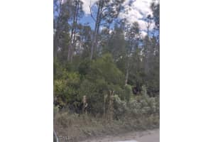 32910 Oil Well Road, Punta Gorda, FL 33955 - MLS#2025015066