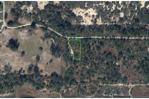 Rollings Hills DR, Lake Placid, FL 33852 - MLS#2025015159
