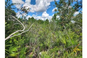 3012 42nd Street, Lehigh Acres, FL 33971 - MLS#2025016135