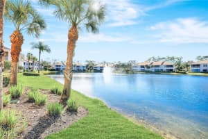 6245 Wilshire Pines Cir 1303, Naples