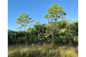 3301 Terry Avenue, Lehigh Acres, FL 33971 - MLS#2025017438