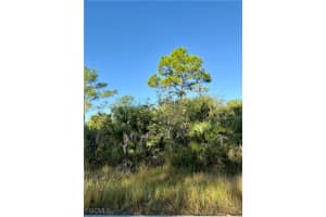 3301 Terry Avenue, Lehigh Acres, FL 33971 - MLS#2025017438