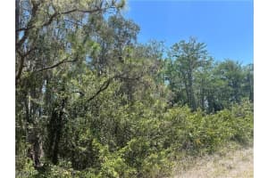 665 Knapp Street, Lehigh Acres, FL 33974 - MLS#2025017706