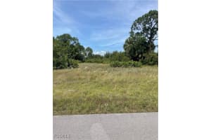 317 Pearson Street, Lehigh Acres, FL 33974 - MLS#2025018097