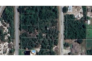 236 Patton Avenue, Lake Placid, FL 33852 - MLS#2025018969