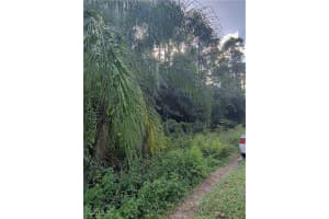 905 Roosevelt Avenue, Lehigh Acres, FL 33936 - MLS#2025019278