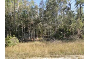 MLS# 2025019688, Lehigh Acres, Florida 33972