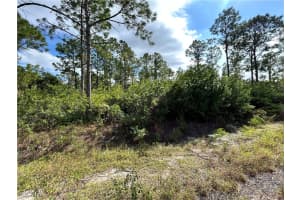 1202 Magnolia Avenue, Lehigh Acres, FL 33972 Sold 03/06/26