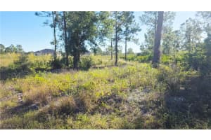 302 Moore Avenue, Lehigh Acres, FL 33936 Sold 12/10/25