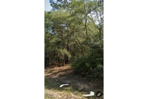 509 Nemo Drive, Citrus Springs, FL 34434 - MLS#2025020651