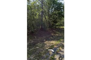 509 Nemo Drive, Citrus Springs, FL 34434 - MLS#2025020651