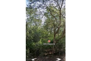 509 Nemo Drive, Citrus Springs, FL 34434 - MLS#2025020651