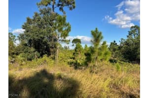 711 Da Vinci Avenue, Lehigh Acres, FL 33974 - MLS#2025020740