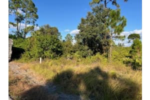 711 Da Vinci Avenue, Lehigh Acres, FL 33974 - MLS#2025020740