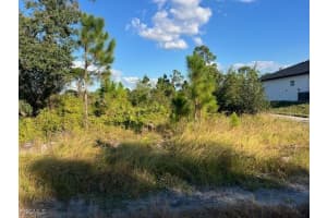 711 Da Vinci Avenue, Lehigh Acres, FL 33974 - MLS#2025020740