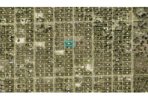 1315 Sheldon Avenue, Lehigh Acres, FL 33972 - MLS#2025021154