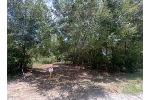 1312 Truman Avenue, Lehigh Acres, FL 33972 - MLS#2025021233