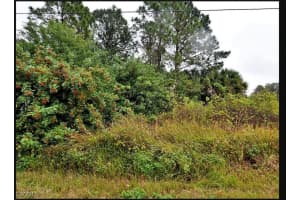 Alpina Alpinia Road, North Port, FL 34288 - MLS#2025021308